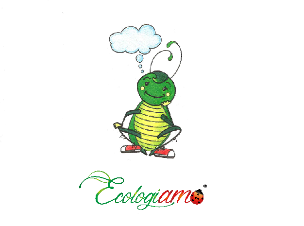 ECOLOGIAMO… A CONCHE