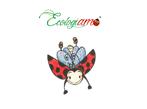 coccibella-volo-con-logo