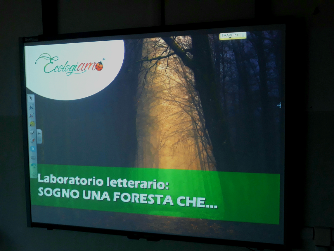 Sogno una foresta che…